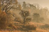 Magura National Park, Poland 1810-00492C