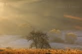 Magura National Park, Poland 1810-00493C