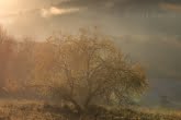 Magura National Park, Poland 1810-00494C