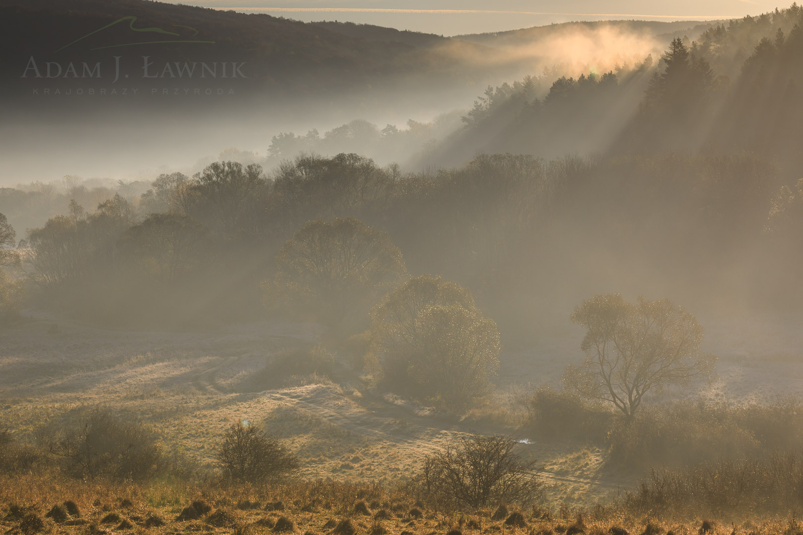 Magura National Park, Poland 1810-00496C