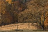 Magura National Park, Poland 1810-00517C
