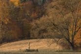 Magura National Park, Poland 1810-00517C