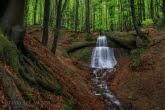 Magura National Park, Poland 1904-00054C