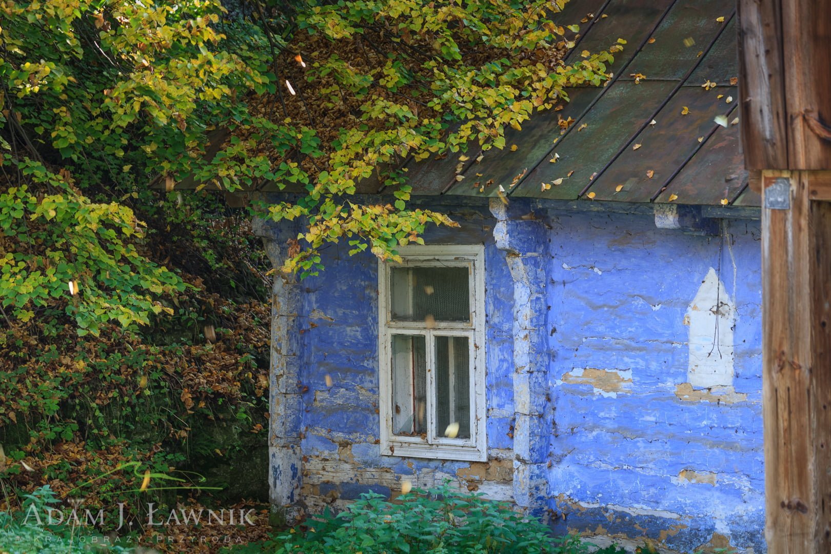 Stara chałupa z pomalowanymi na niebiesko ścianami