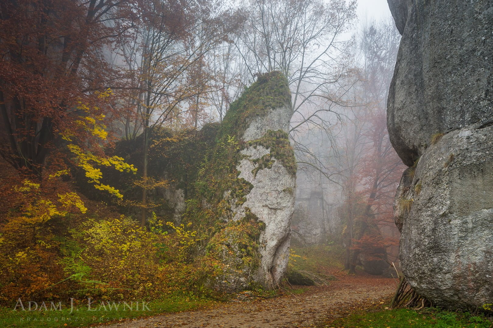 Brama Krakowska we mgle w Ojcowskim Parku Narodowym