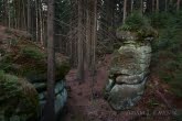 Stołowe Mountains National Park, Poland 0904-00224C