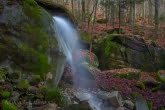 Stołowe Mountains National Park, Poland 1602-00017C