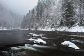 Pieniny National Park, Poland 1301-00019C