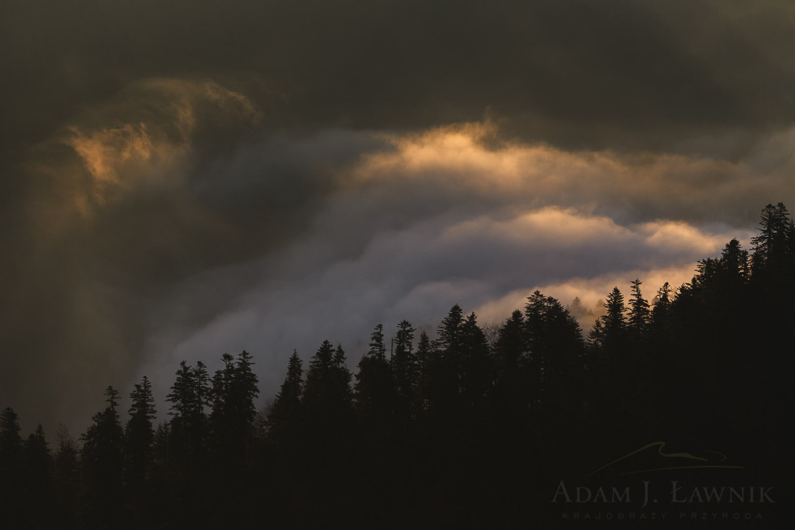 Pieniny National Park, Poland 1310-01331C