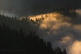 Pieniny National Park, Poland 1310-01335C