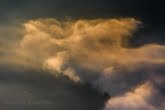 Pieniny National Park, Poland 1310-01336C