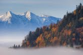 Pieniny National Park, Poland 1510-01372C