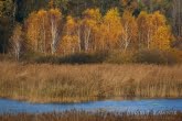 Stawy Bruskie w Poleskim Parku Narodowym