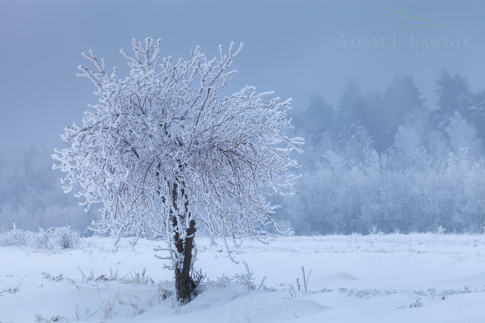 Świętokrzyski National Park, Poland 1301-00027C