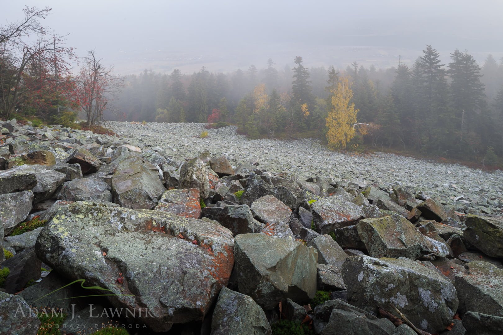 Świętokrzyski National Park, Poland 1310-01311C