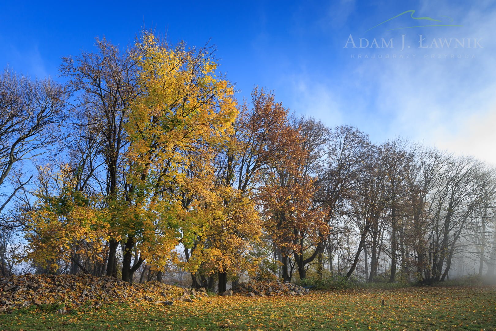 Świętokrzyski National Park, Poland 1310-01317C