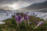 Tatra National Park, Poland 1104-00815C