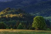 Tatra National Park, Poland 1305-00610C