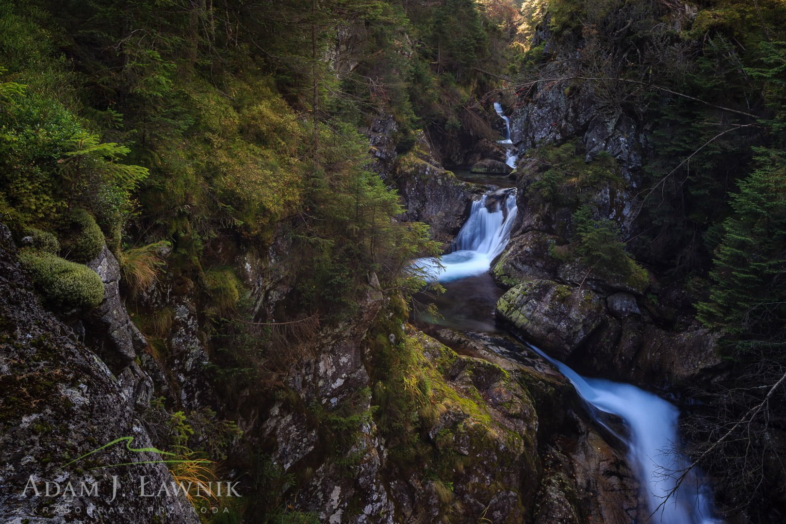 Tatra National Park, Poland 1310-01295C