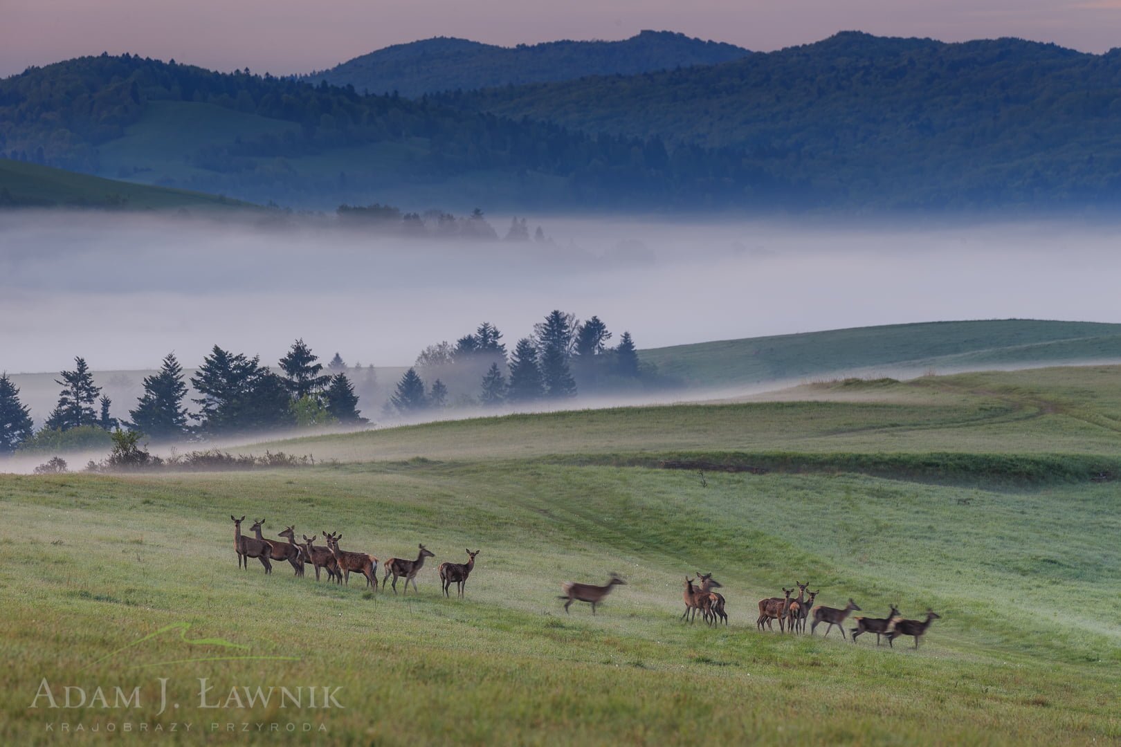 Turnica National Park, Poland 1605-00401C