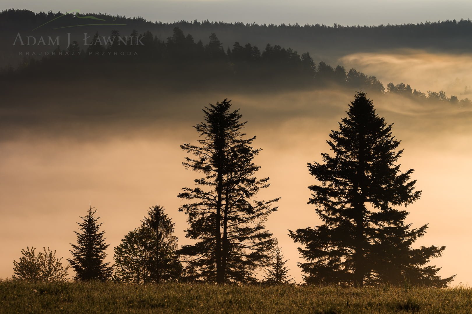 Turnica National Park, Poland 1605-00413C