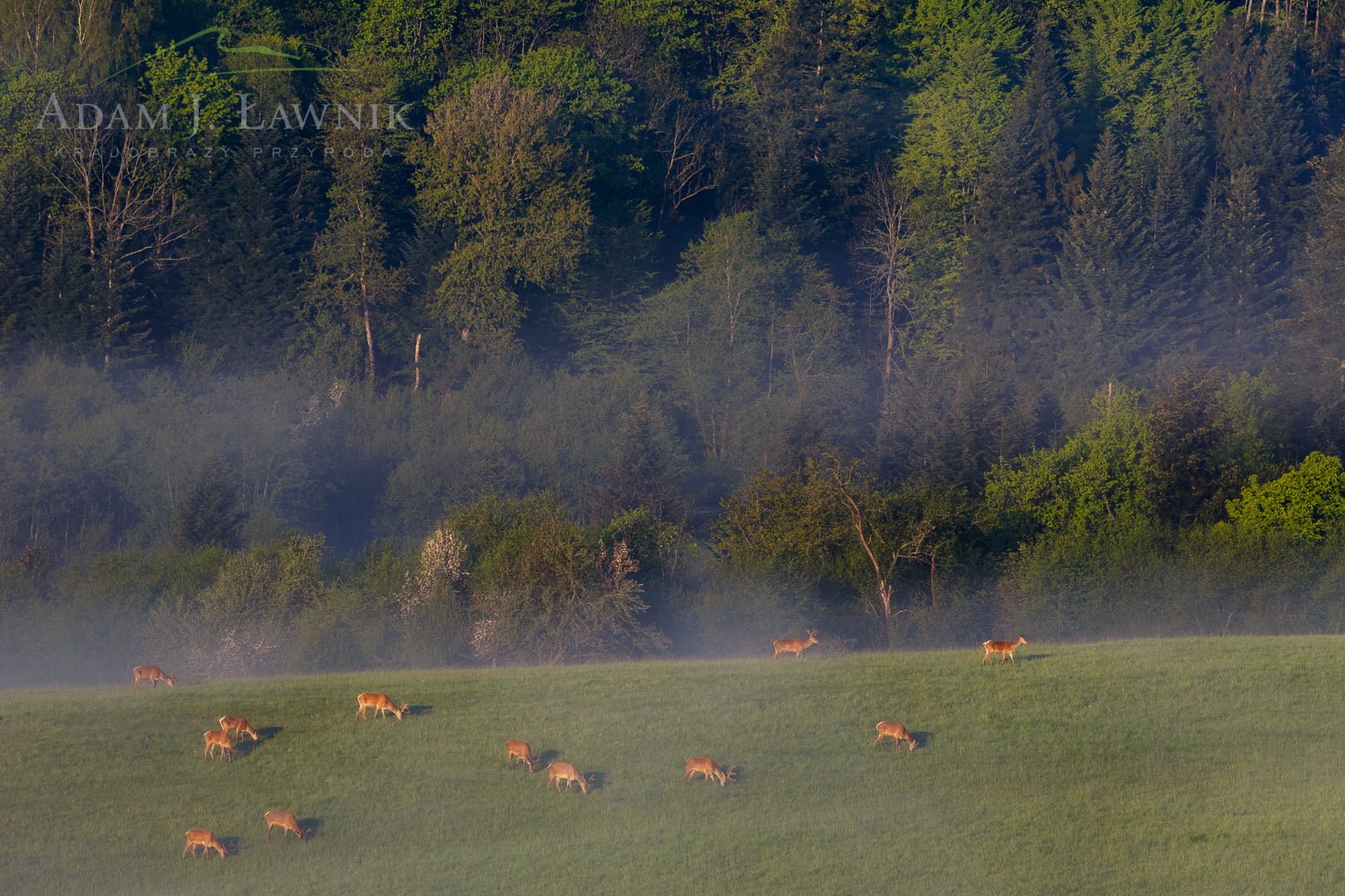 Turnica National Park, Poland 1605-00444C