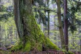 Turnica National Park, Poland 1704-00440C