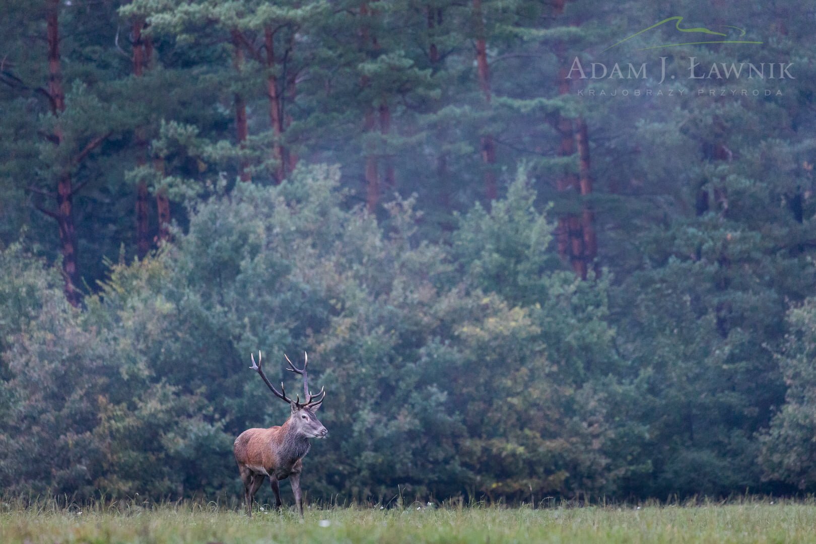 Turnica National Park, Poland 1709-00852C