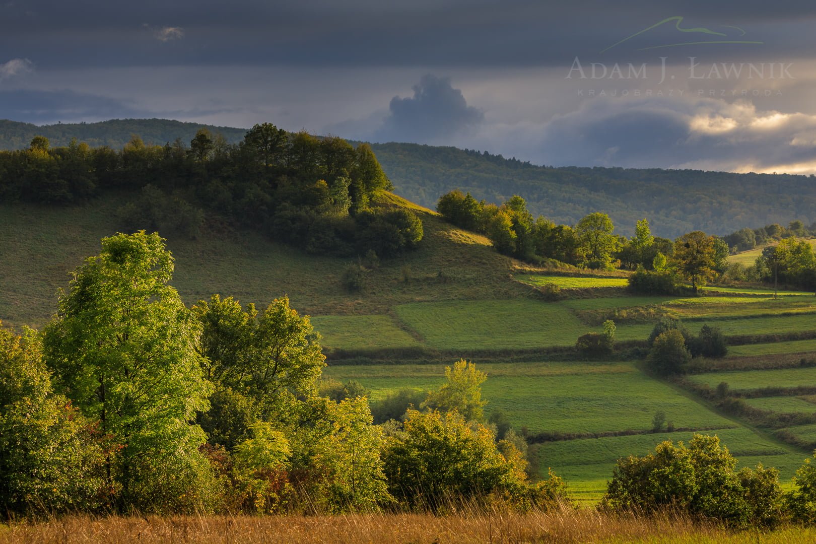 Turnica National Park, Poland 1709-00860C