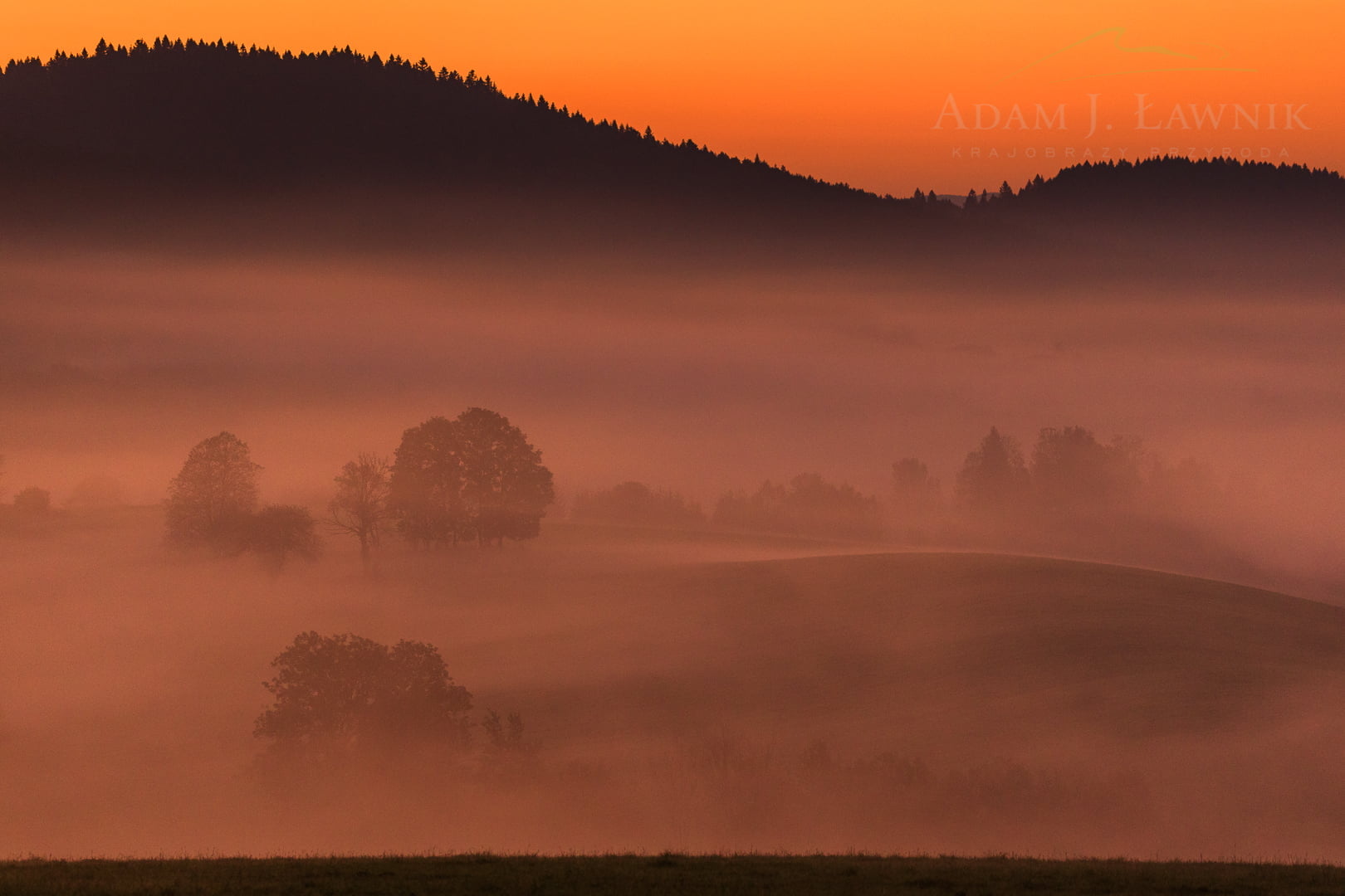 Turnica National Park, Poland 1709-00896C