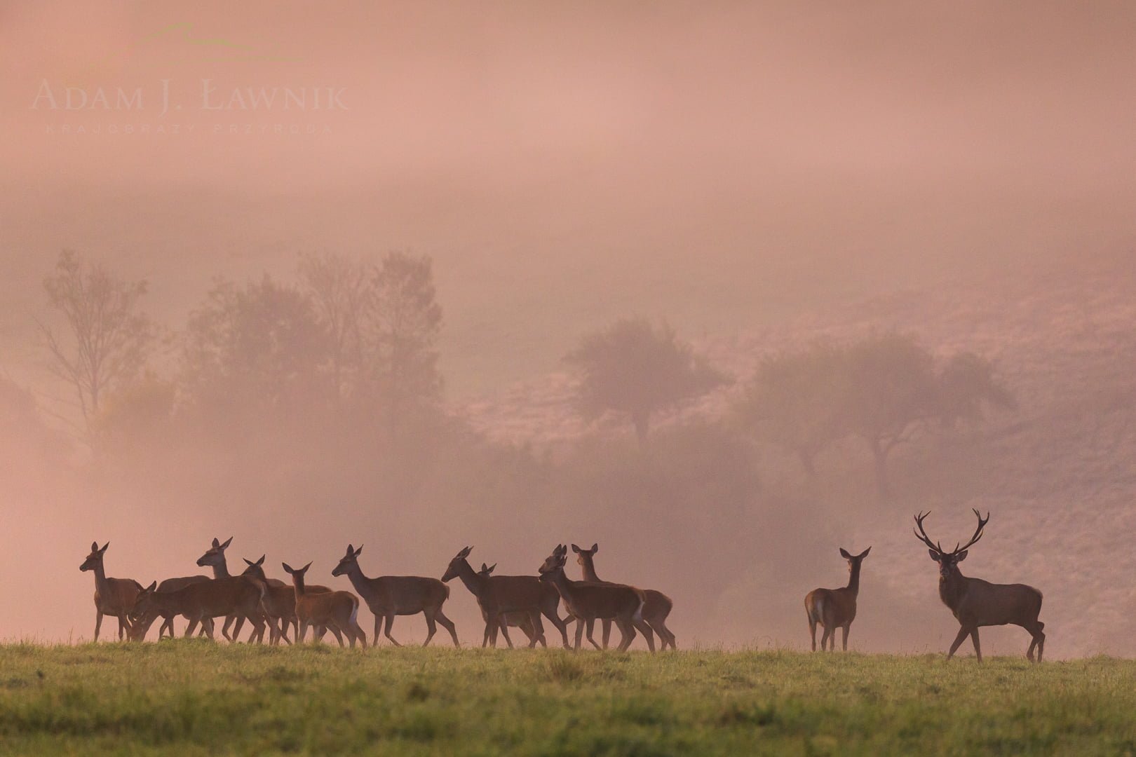 Turnica National Park, Poland 1709-00901C