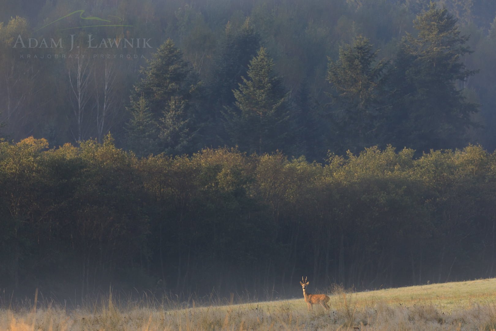 Turnica National Park, Poland 1709-00961C