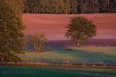 Wielkopolska National Park, Poland 1110-02094C