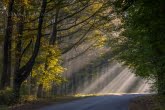 Wielkopolska National Park, Poland 1110-02142C