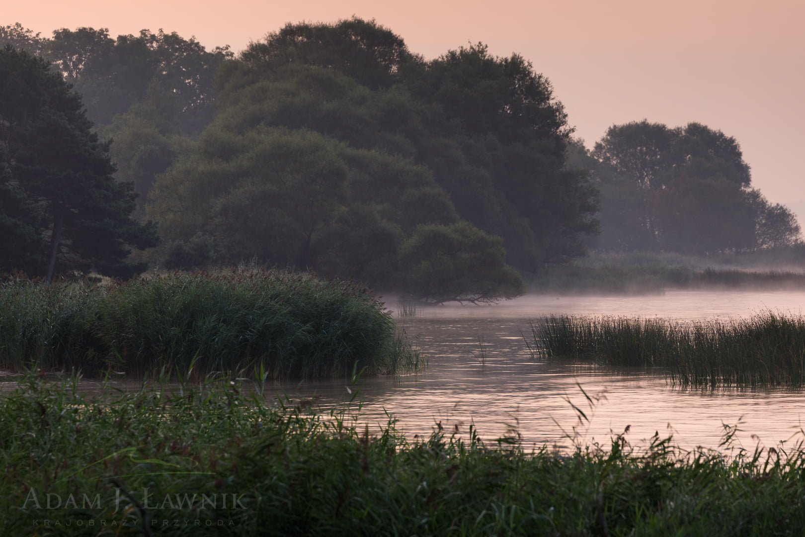 Wolin National Park, Poland 1708-01073C