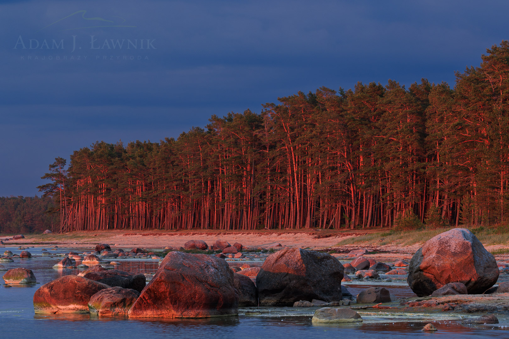 Beach on the Baltic Sea at sunset in Mustoja
