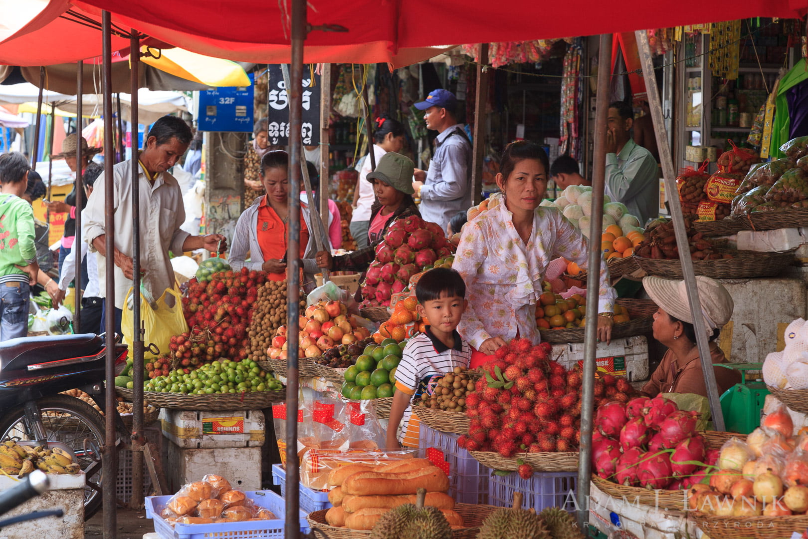 Cambodia 0908-00920C