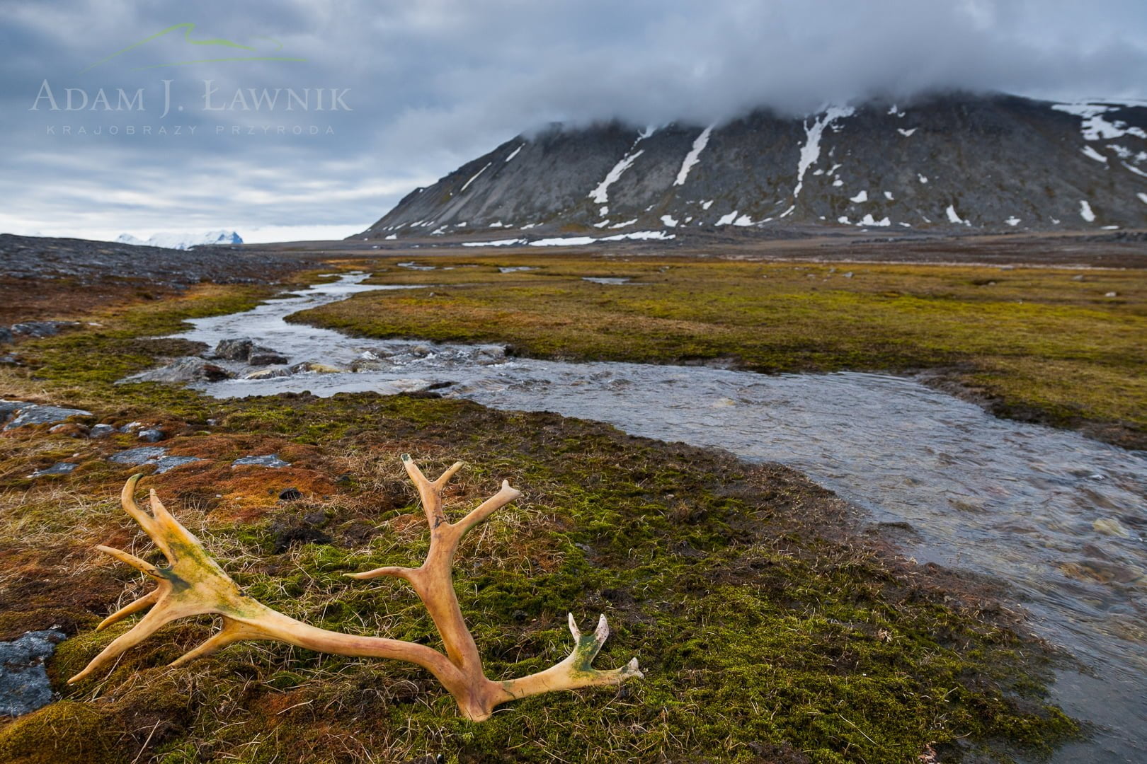 Spitsbergen, Arctic 0606-00914C