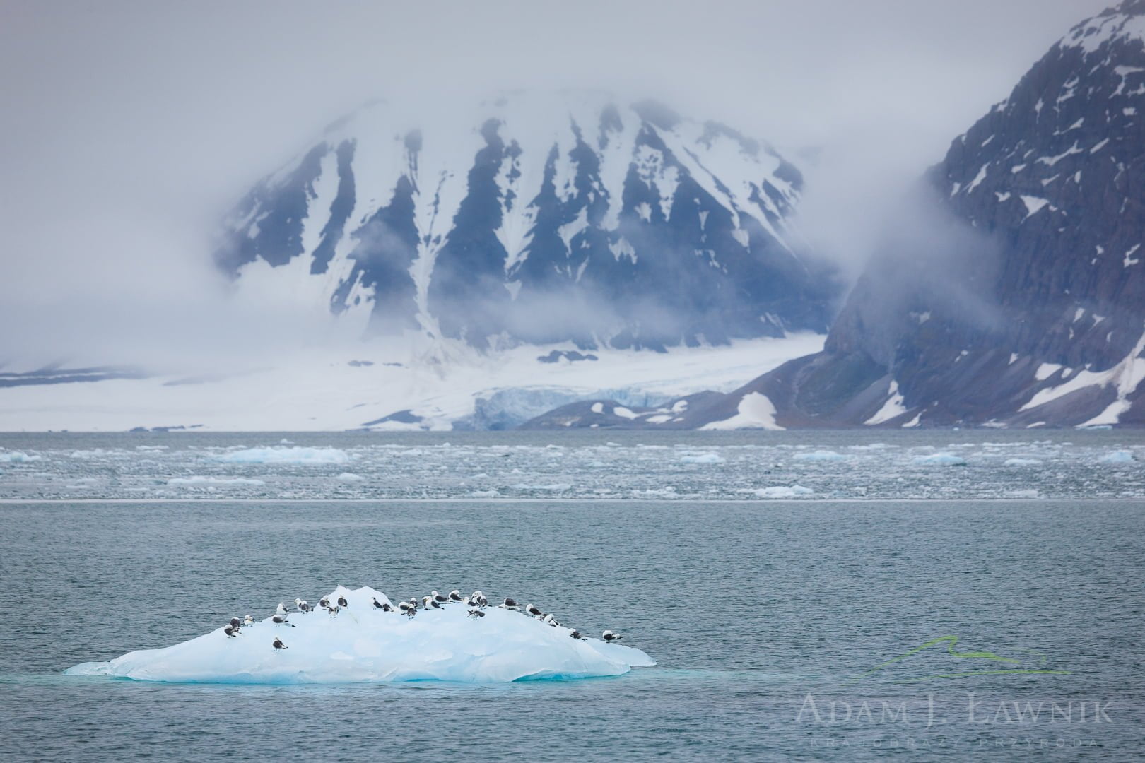 Spitsbergen 0606-01032C