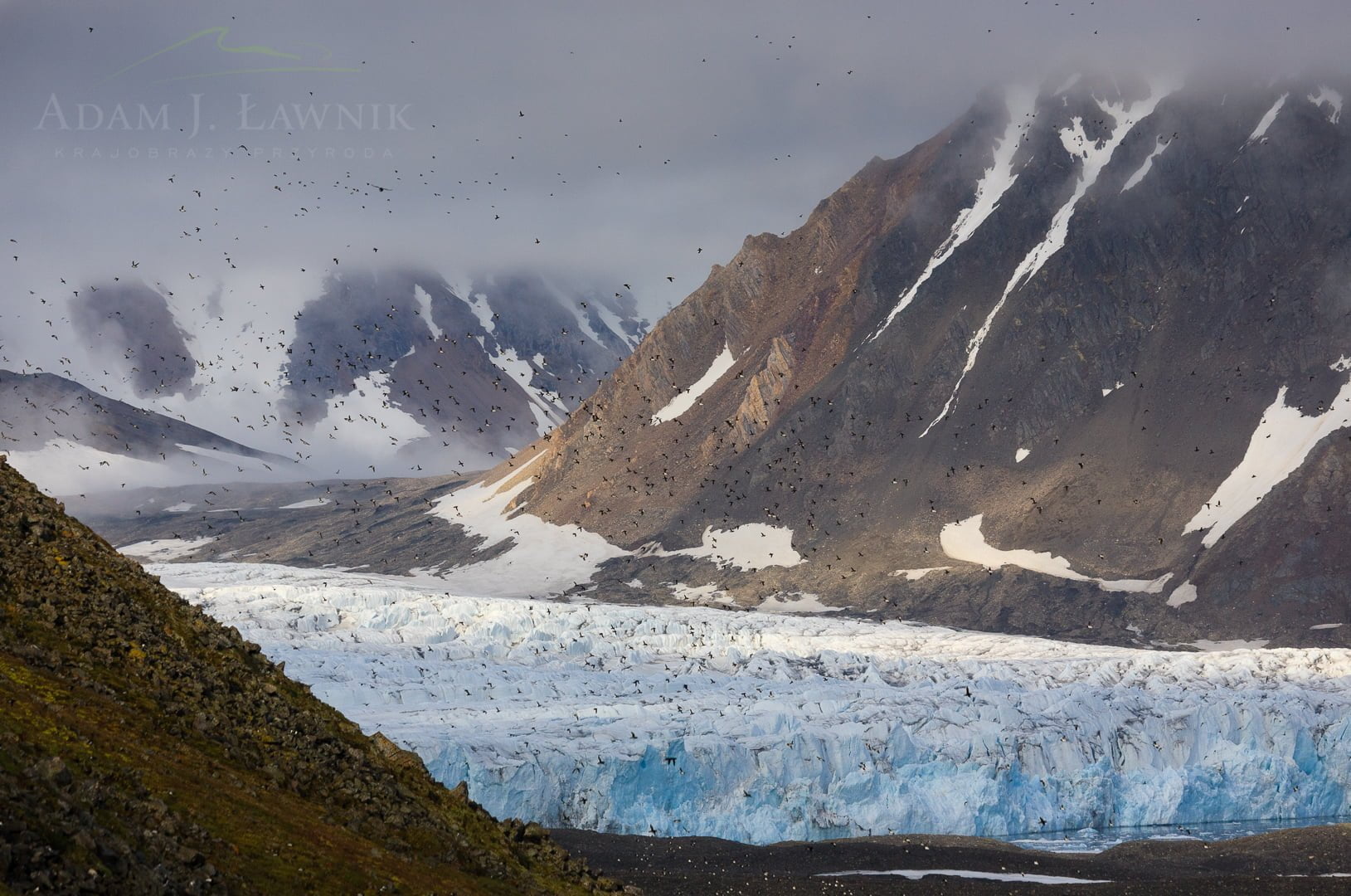 Spitsbergen, Arctic 0606-01310C