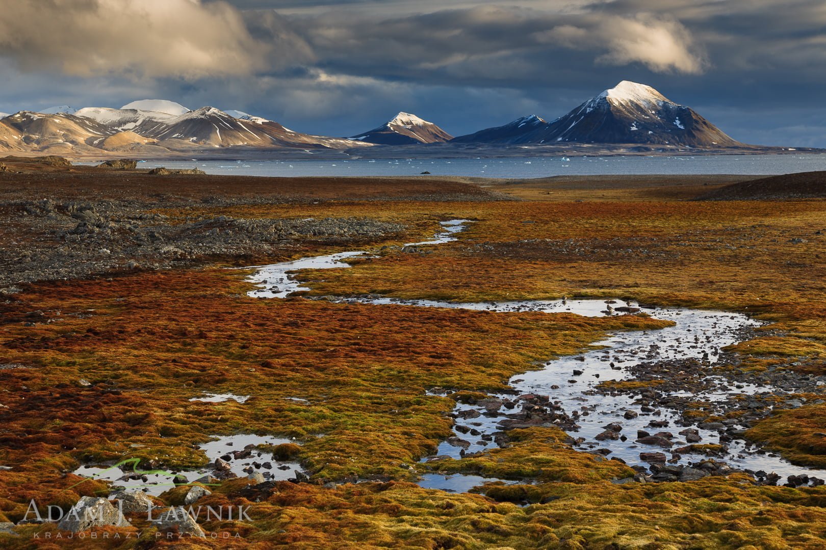 Американская тундра