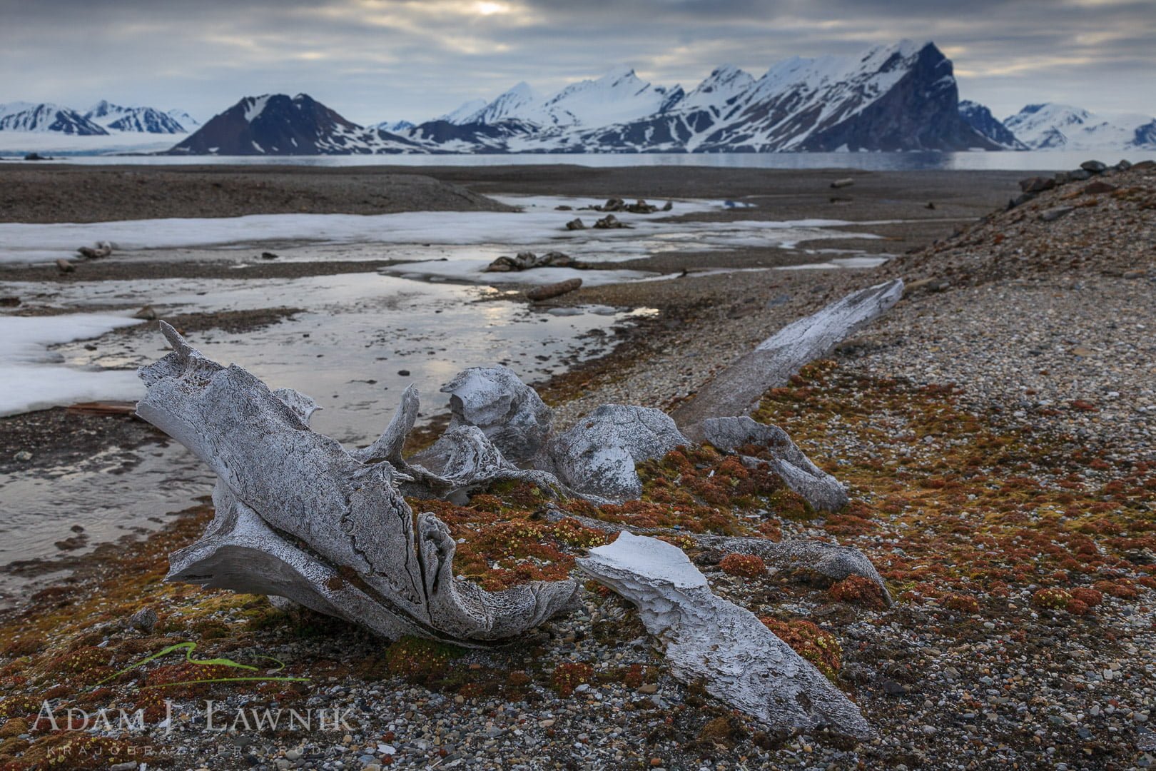 Svalbard, Arctic 0606-00927C