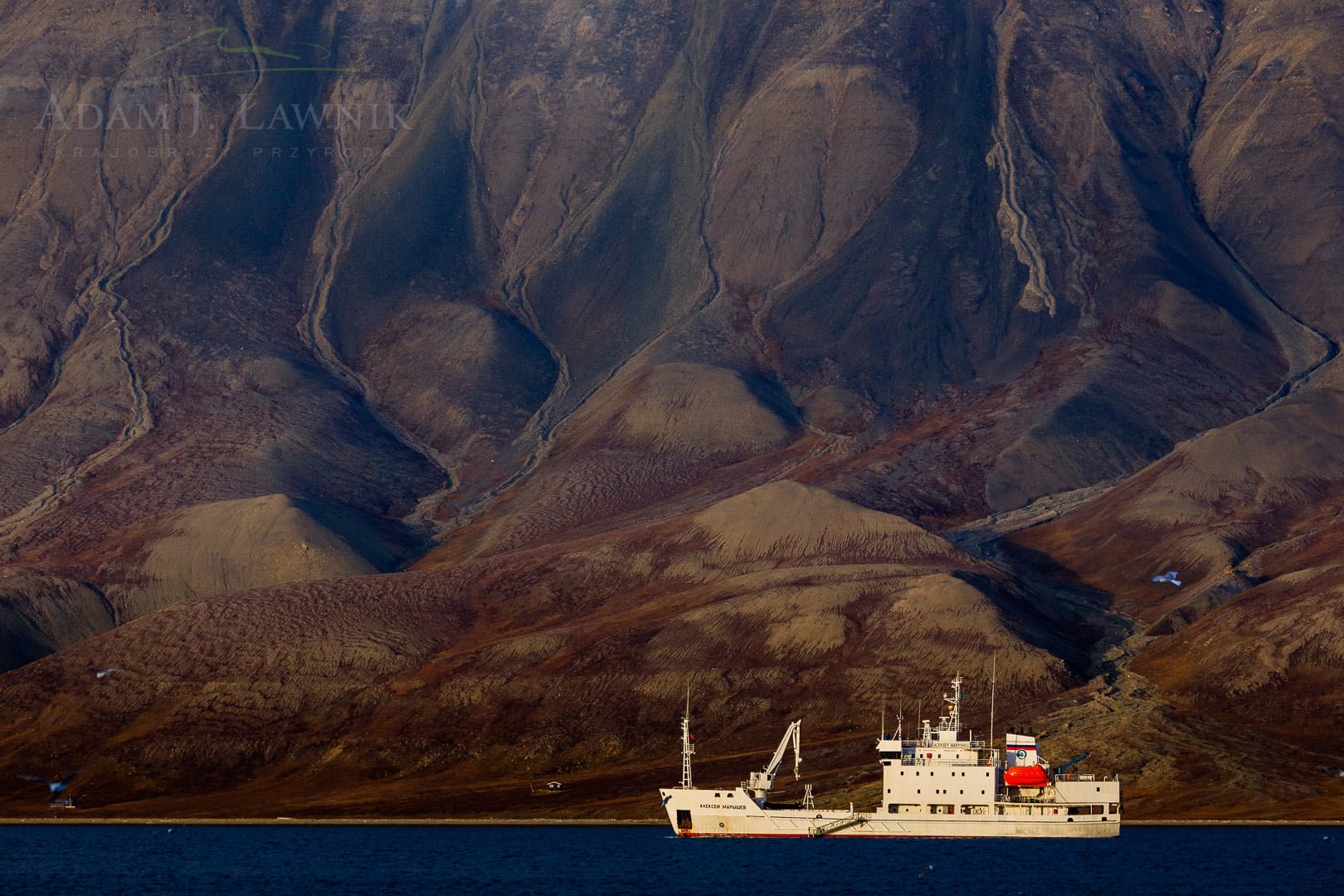 Svalbard, Arctic 0709-01451C