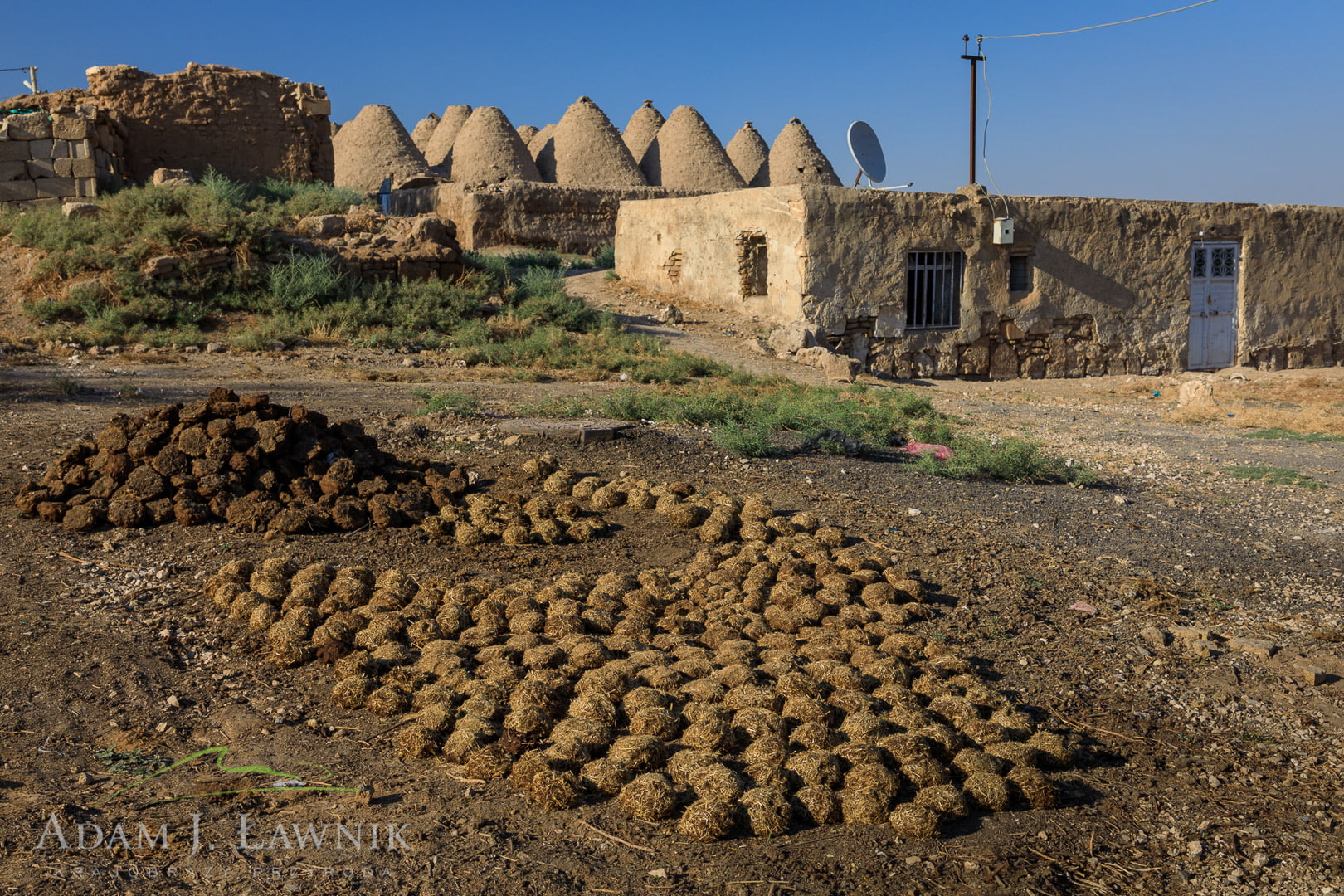 Harran
