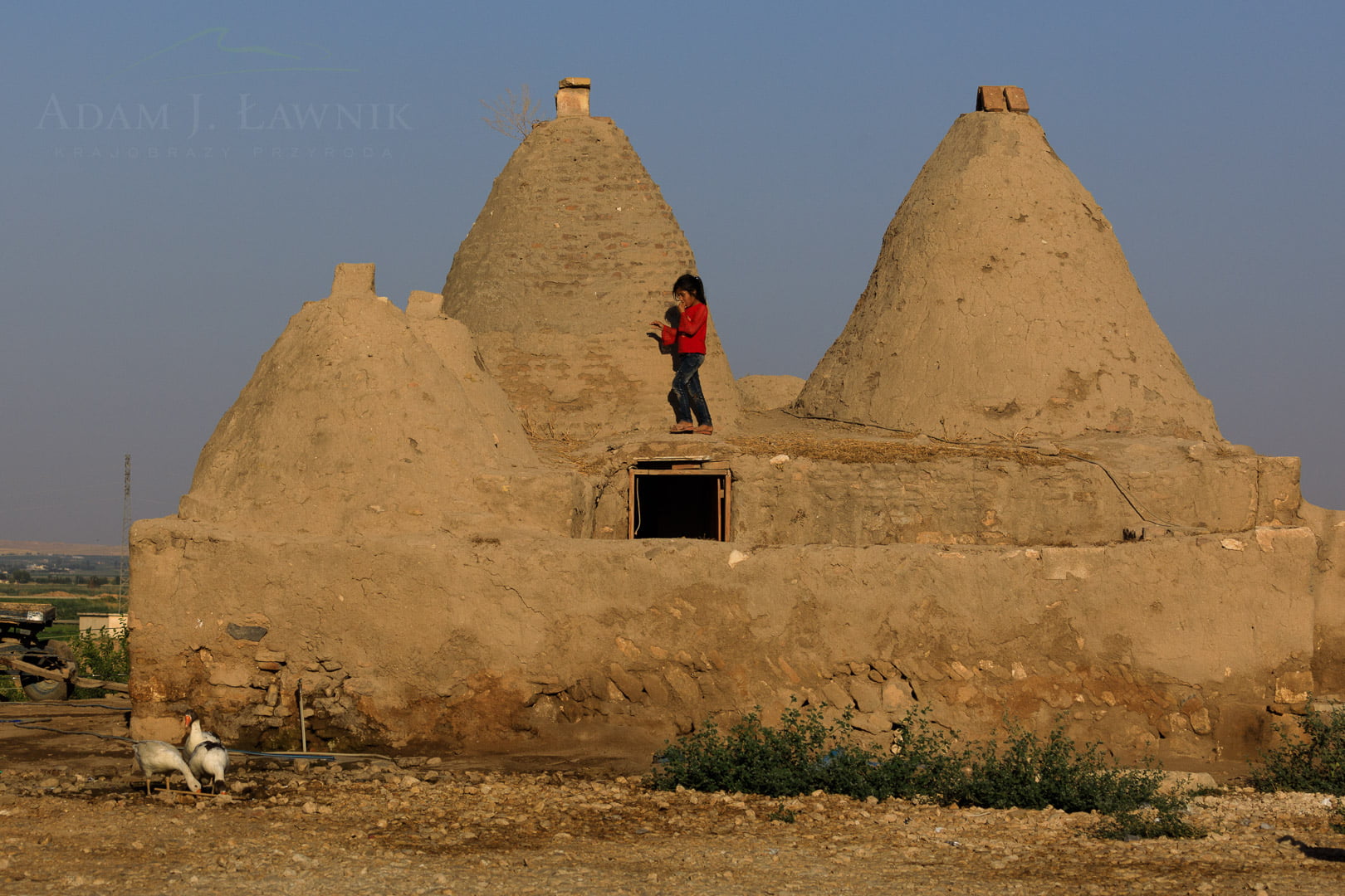 Harran