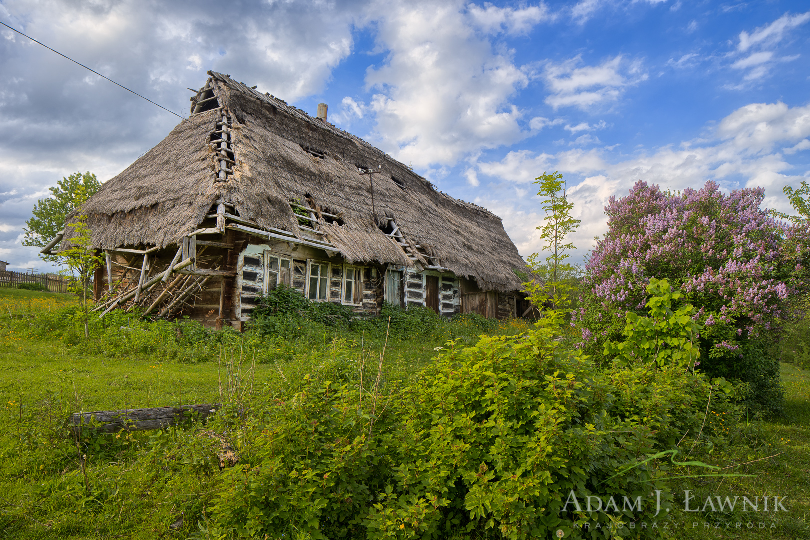 Ukraina 1505-00574C