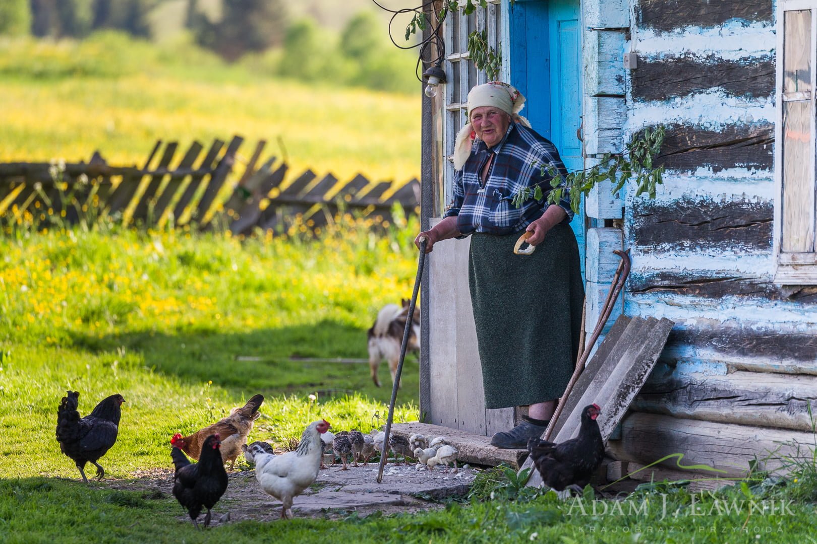 Ukraina 1505-00587C