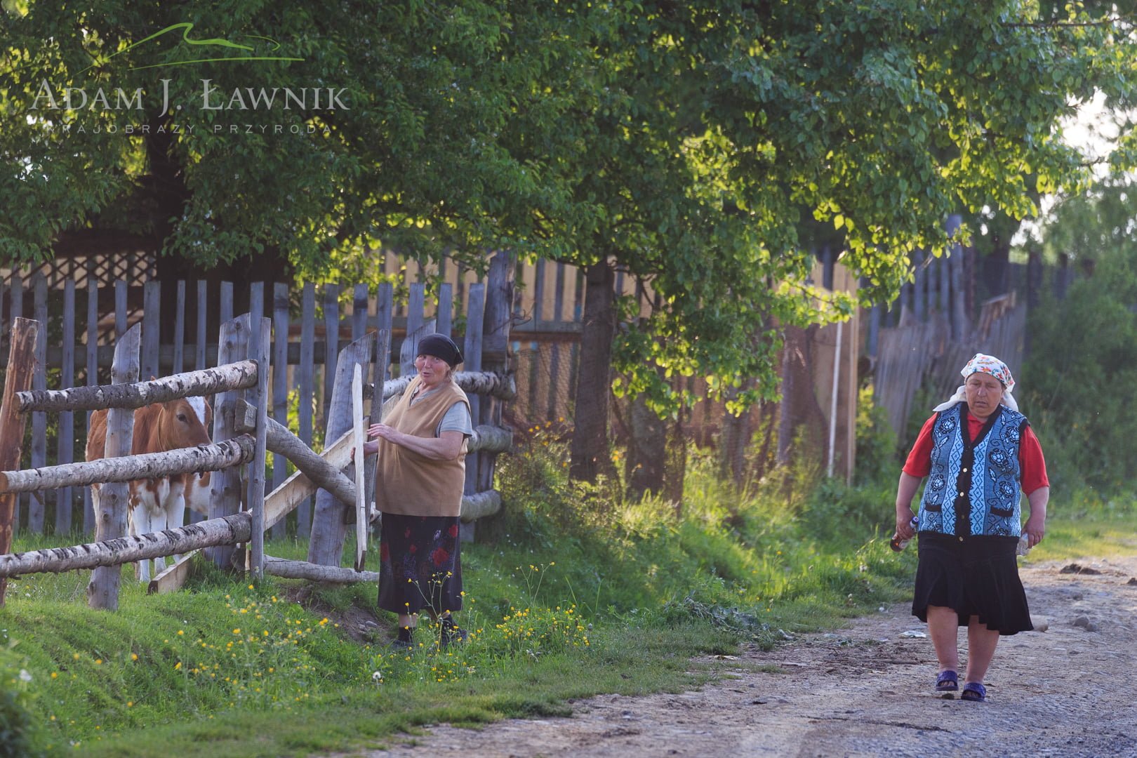 Ukraina 1505-00593C