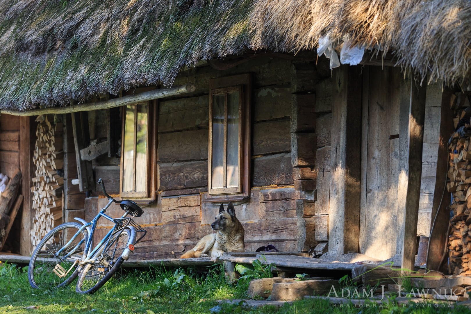 Ukraina 1506-00615C
