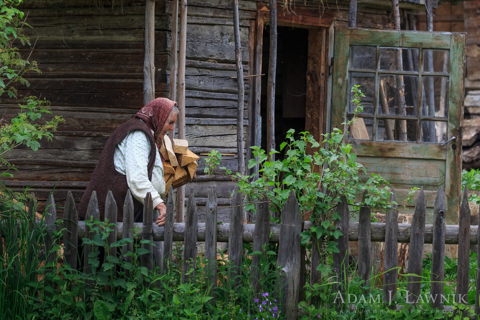 Ukraina 1506-00691C